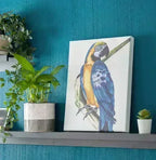 Abstract Woman - Dip n' Design