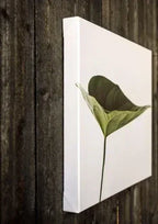 Gallery-wrapped canvas showing thickness from Dip n' Design