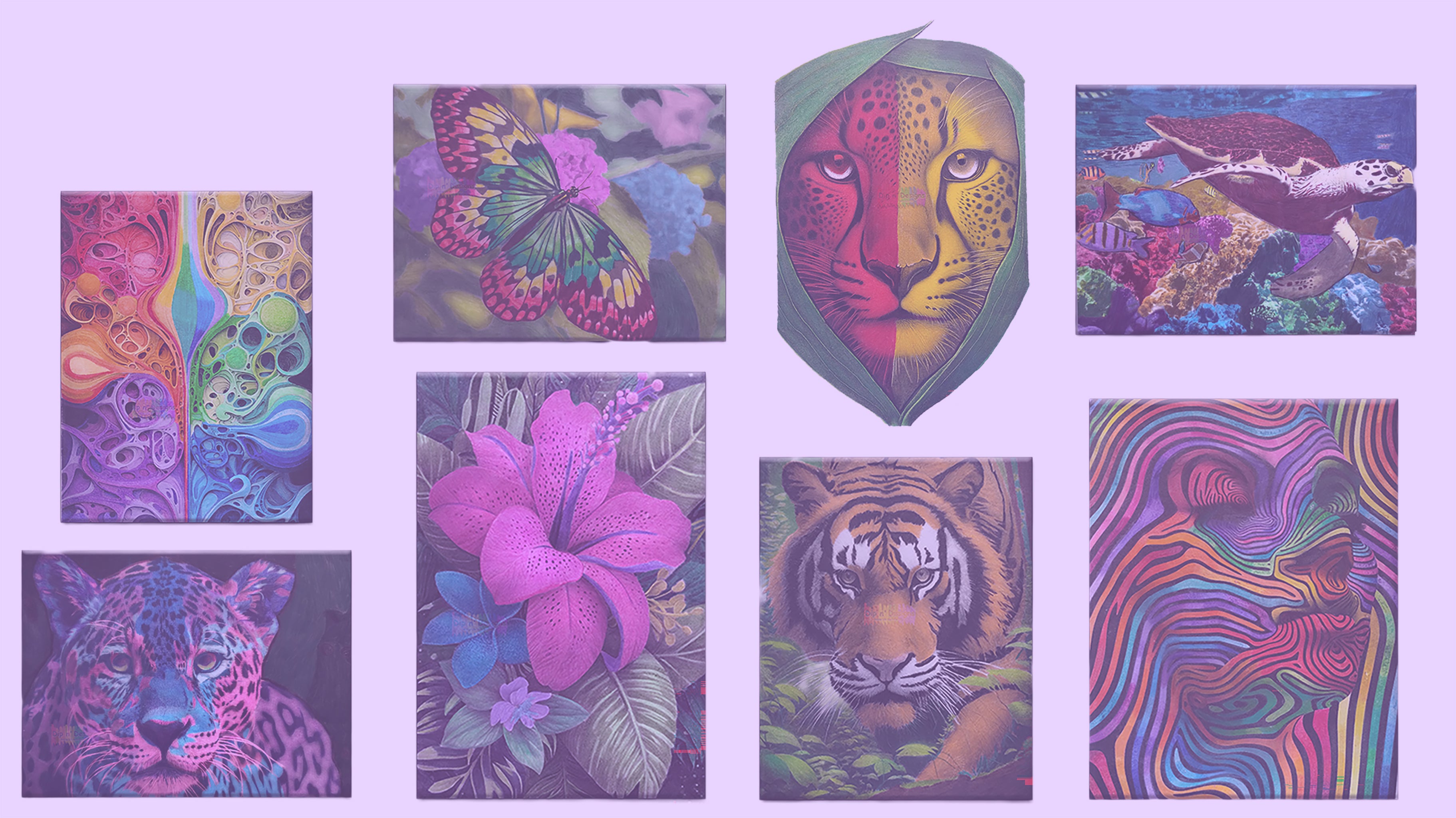 Dip n' Design Collage on Home Page